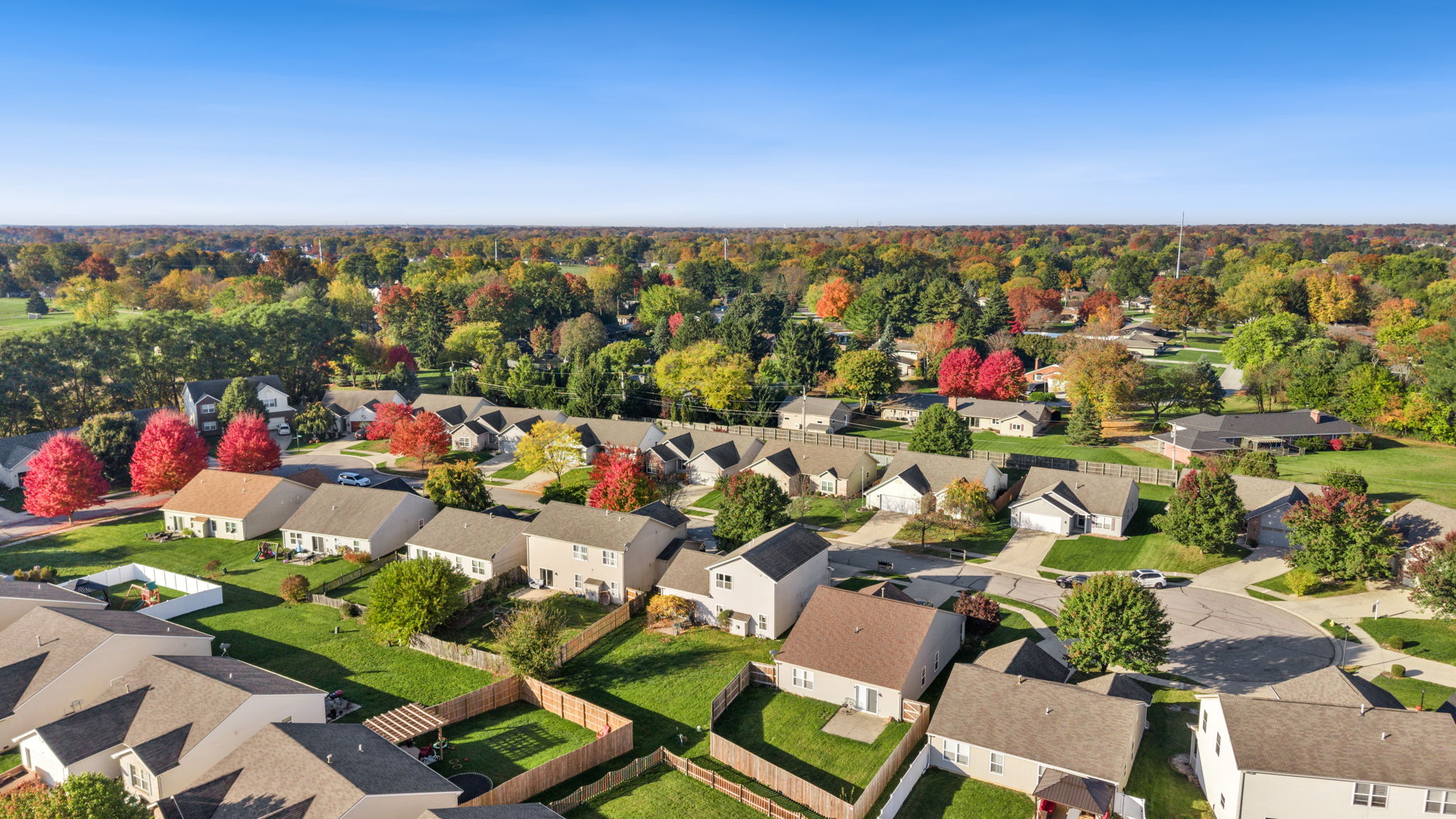  Photo 50