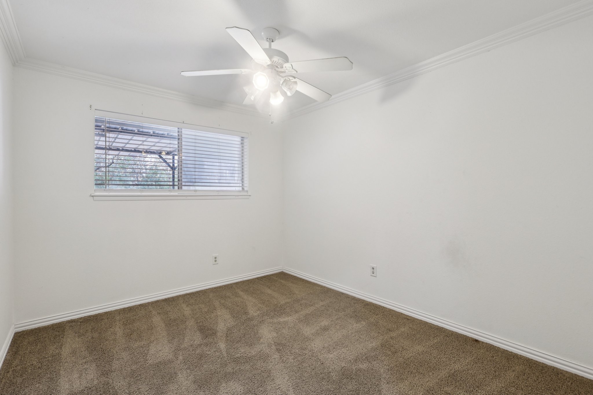 Galway Ln-S0203-015.jpg