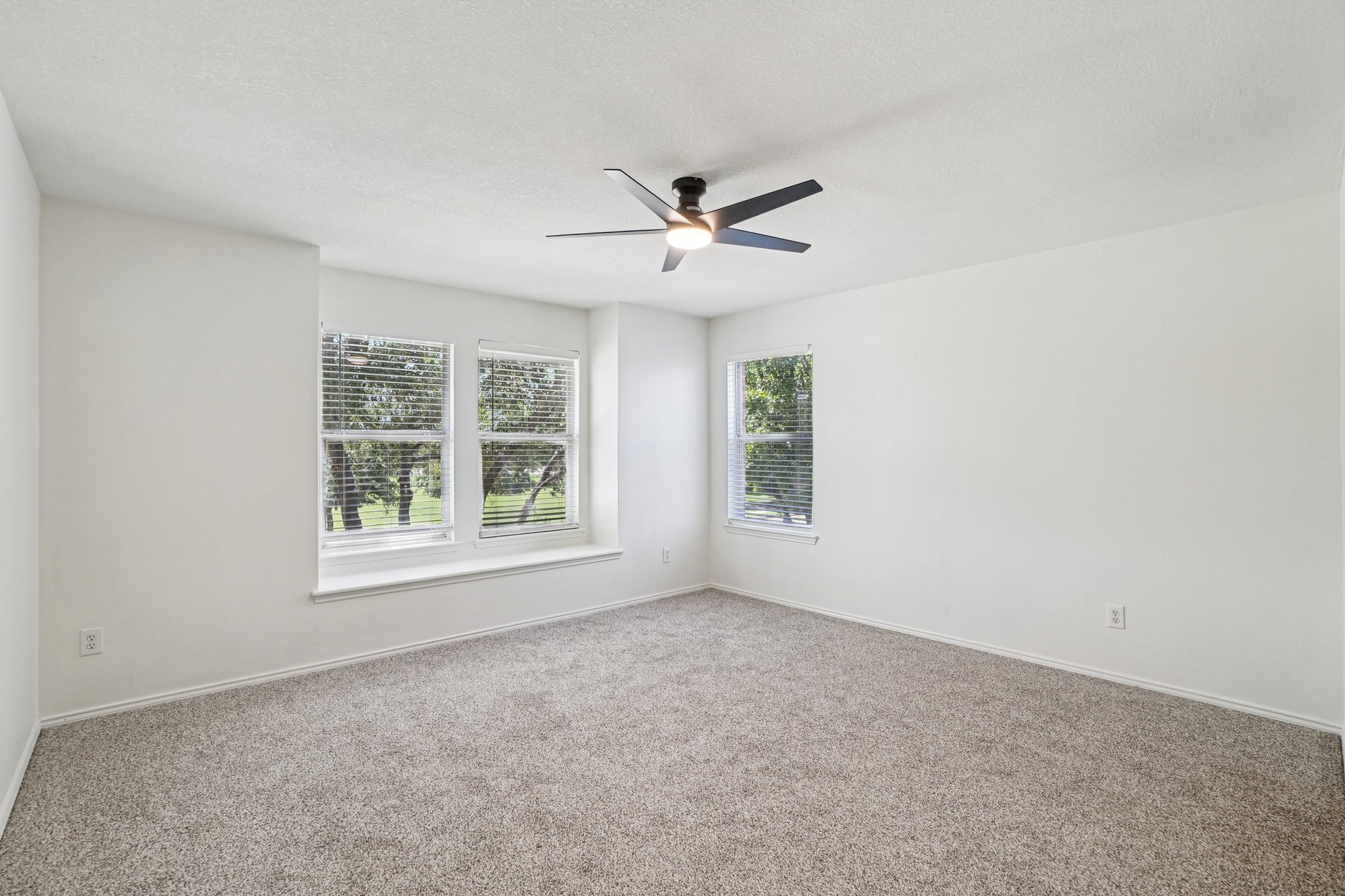 Gray Oak Pl-S1009-016.jpg