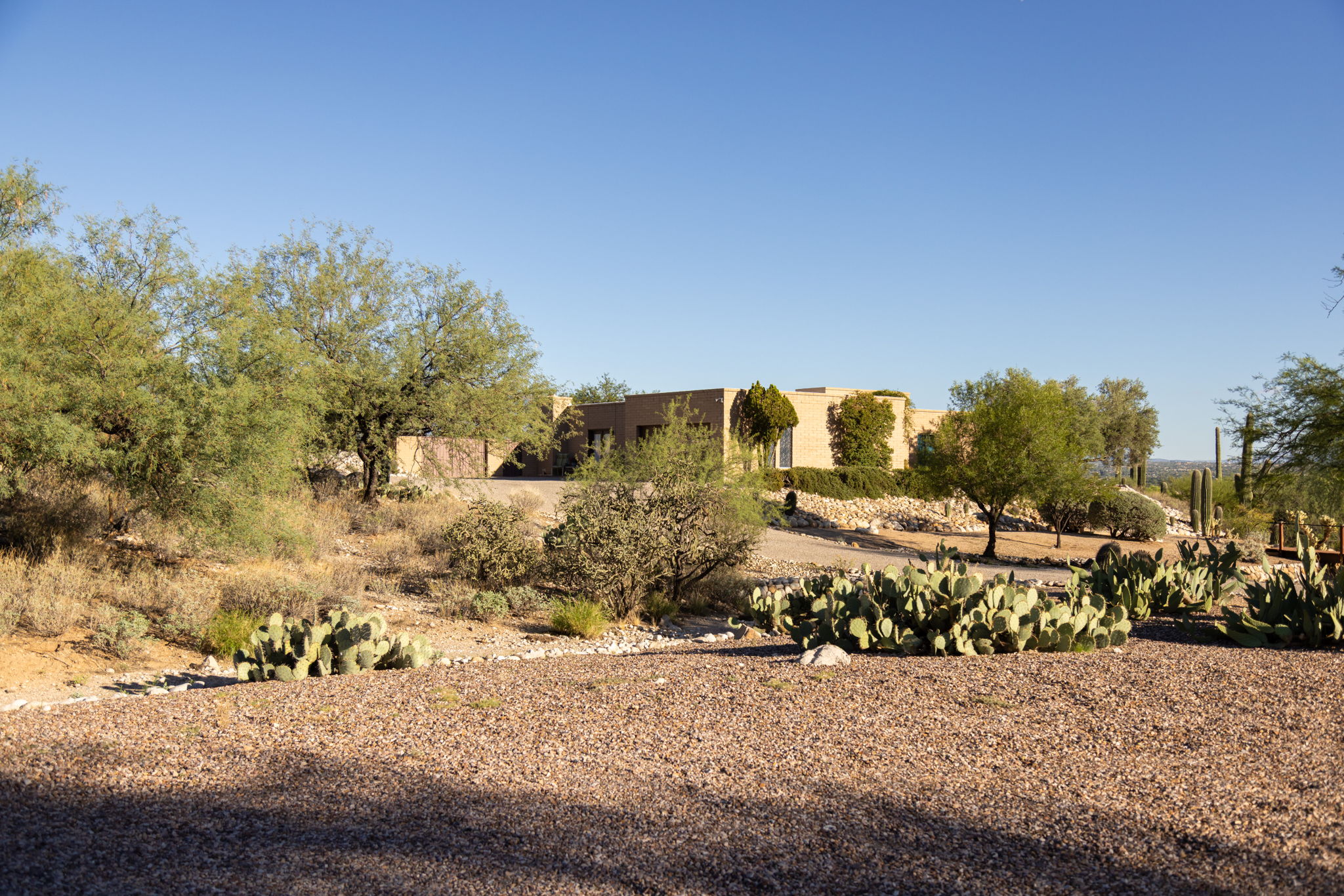 Font exterior/ Mature landscaping/