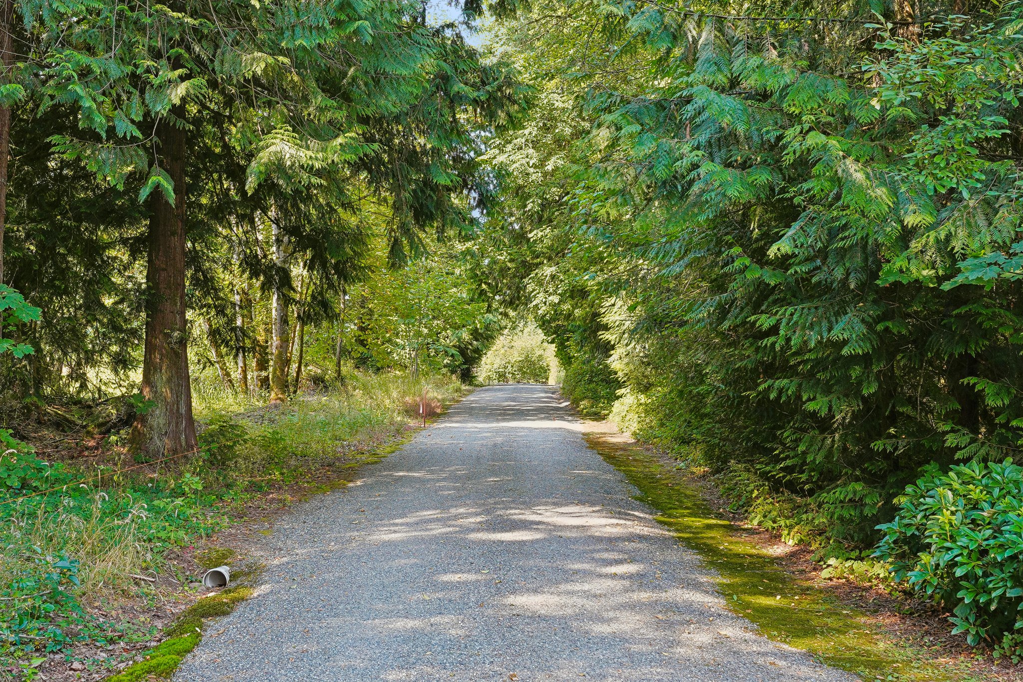 200th Ave SE-S1408-002.jpg