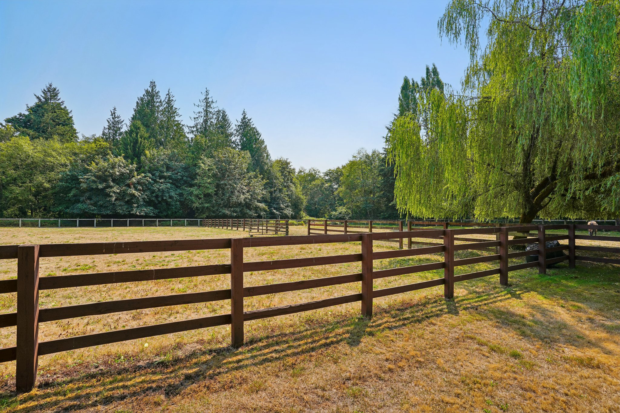 200th Ave SE-S1408-063.jpg
