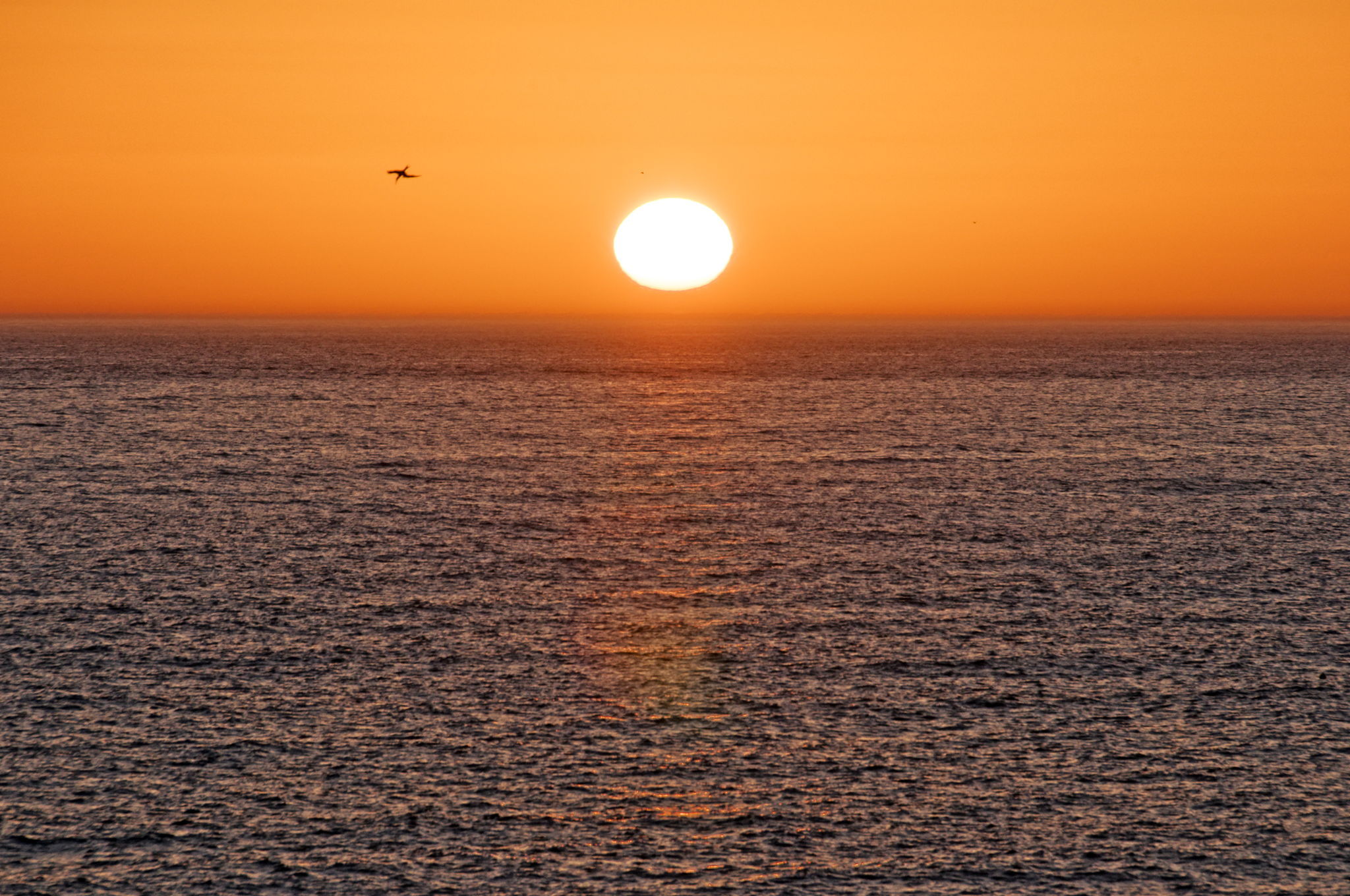 Sunset2a