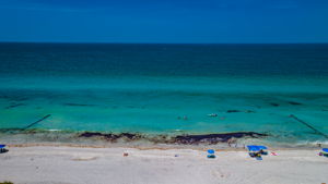 Madeira Beach5