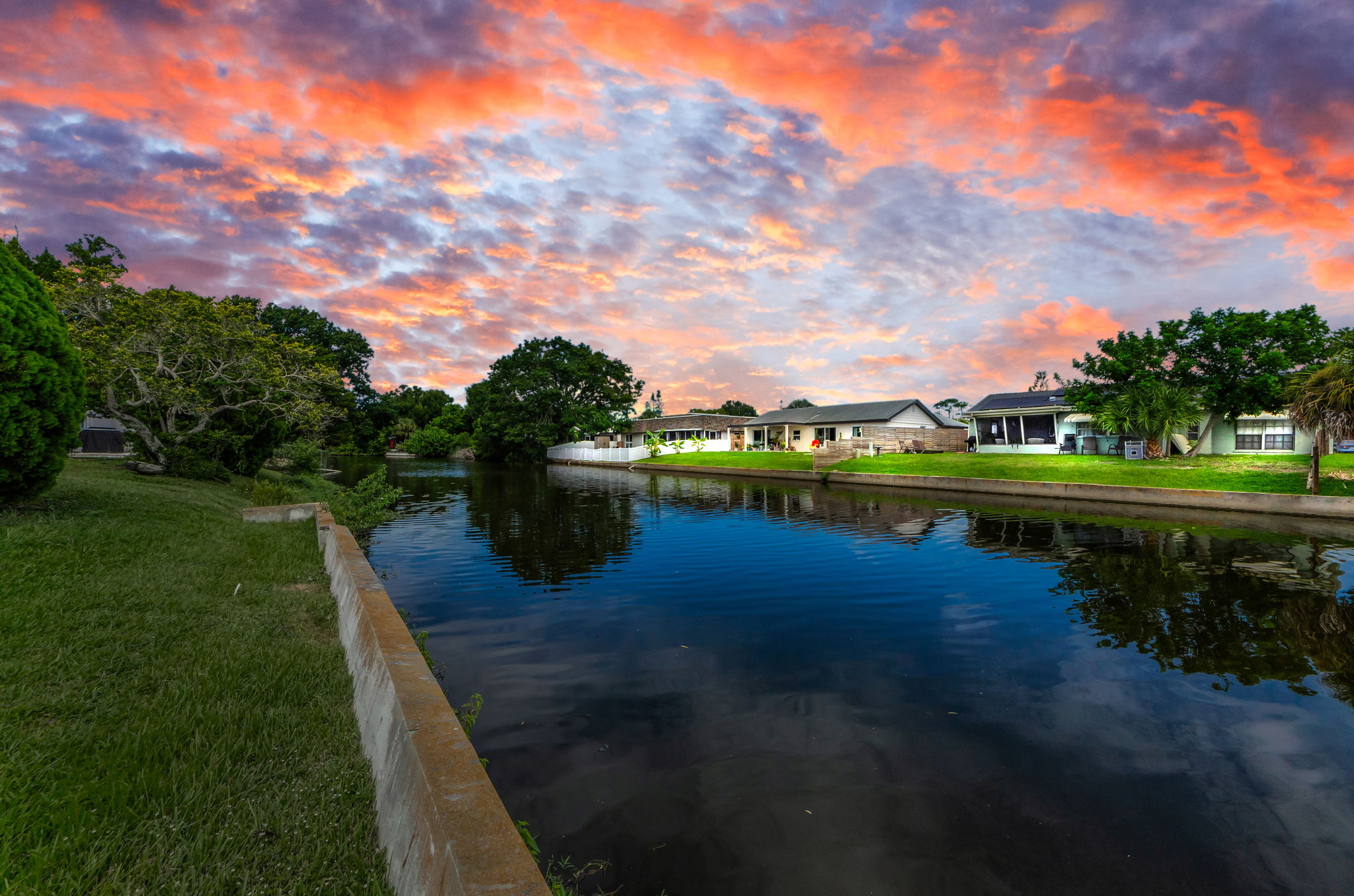 2-Backyard View 1