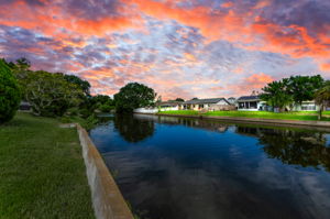 2-Backyard View 1