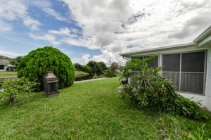 Backyard 4