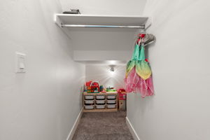Understairs Storage