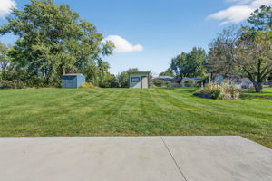 Wow, look at this yard!
