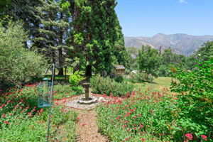  Photo 35
