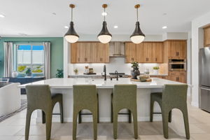 39403 Saddle Dr-S0409-012
