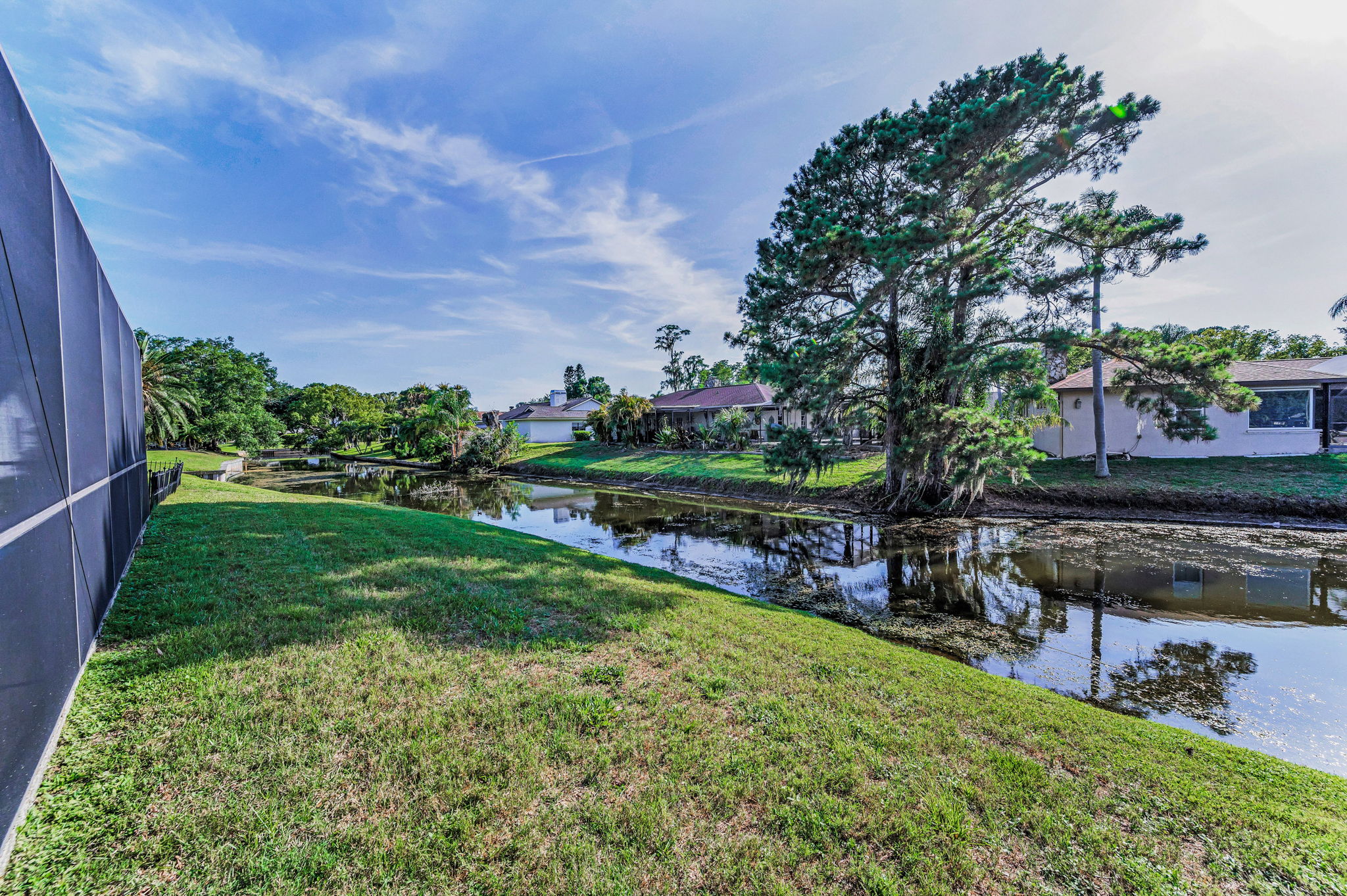 Backyard14