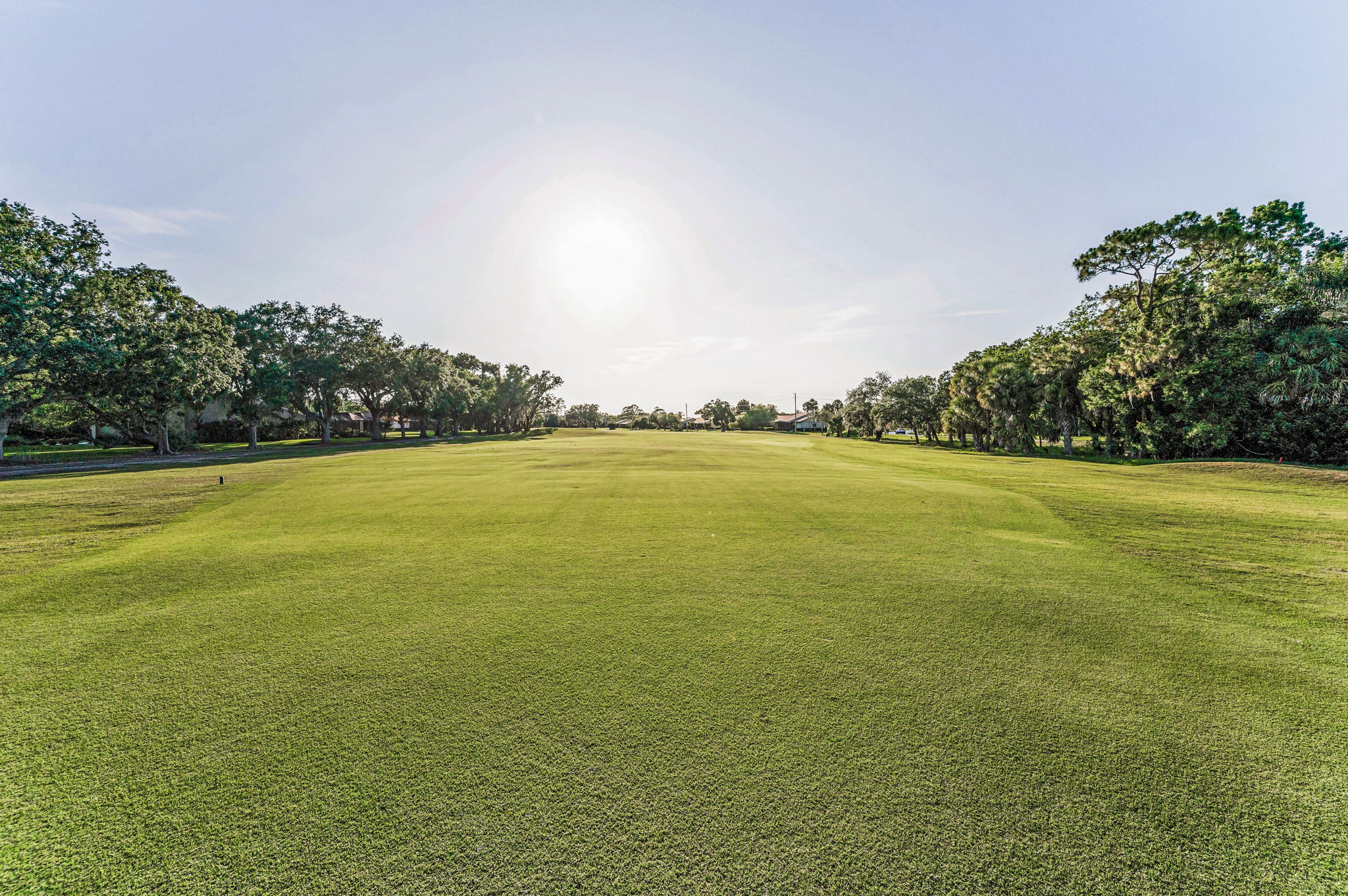 Golf Course6