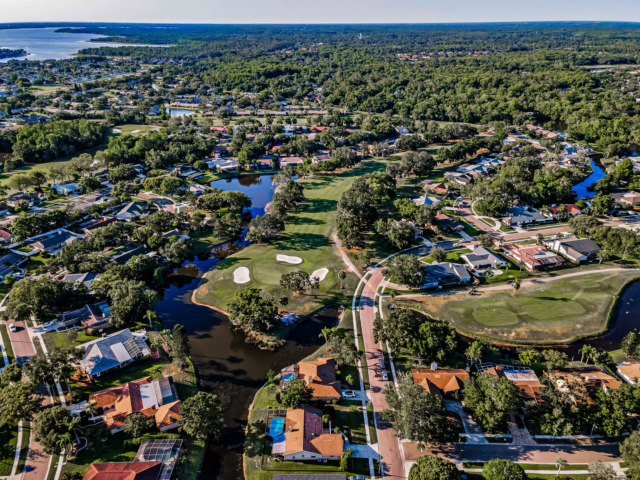Aerial (19)