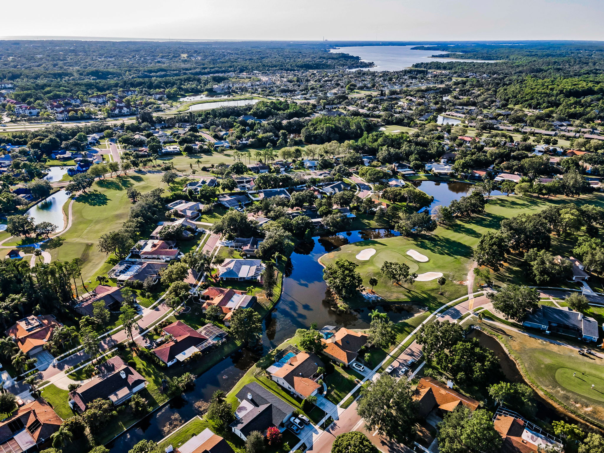 Aerial (20)