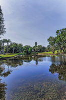 Backyard10