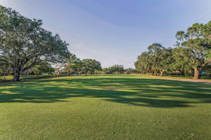 Golf Course4