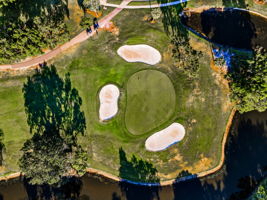 Aerial (14)