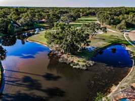 Aerial (34)