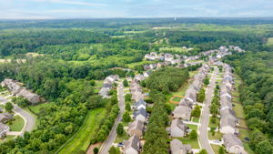 Image-66