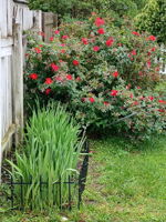  Photo 23