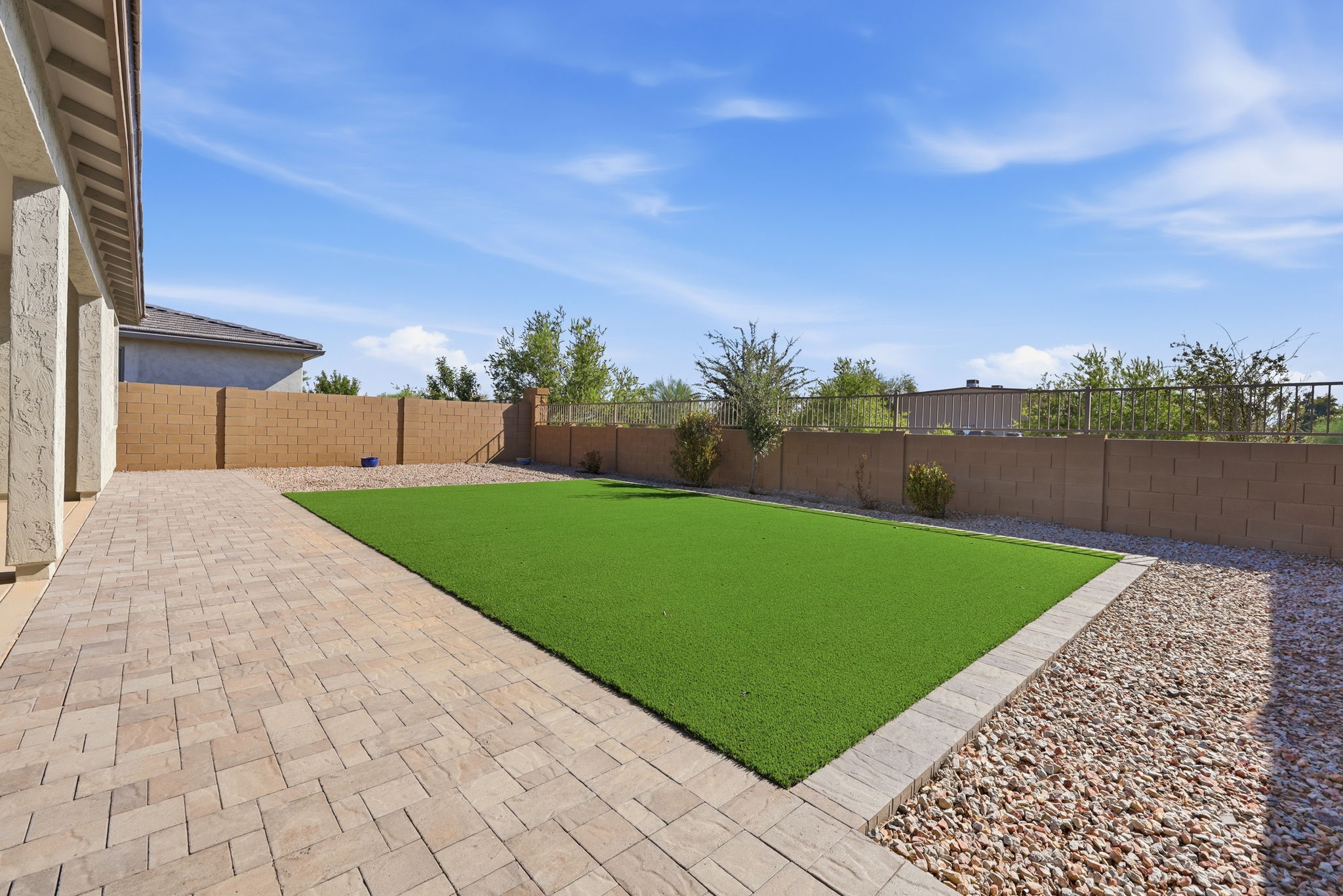 Back Yard