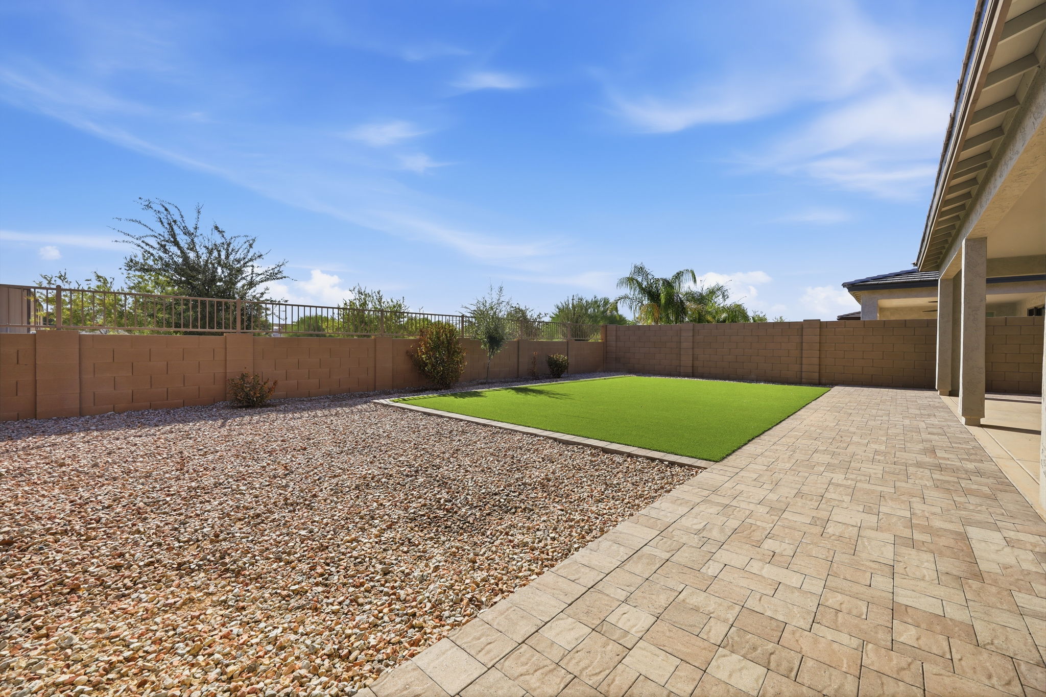 Back Yard