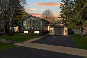  Photo 0