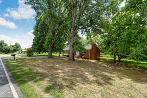 Front Yard