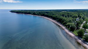 The Coast