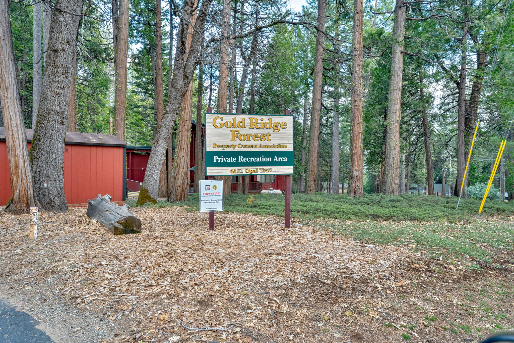  Photo 41