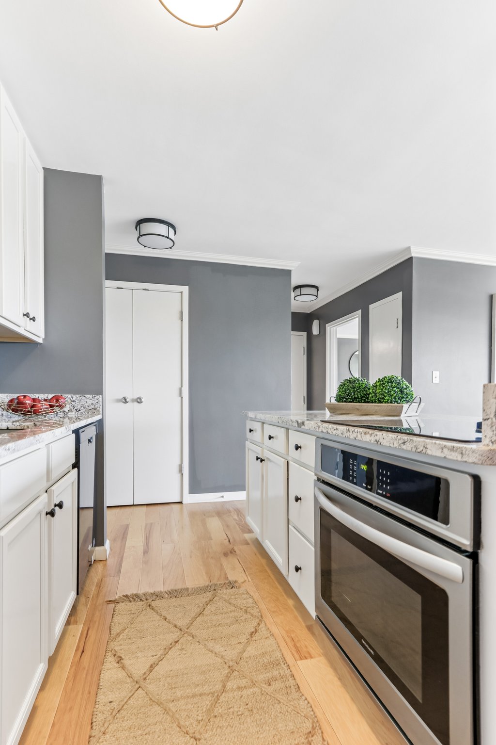 N Meridian St unit 6g-S0409-015.jpg