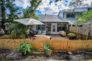 Backyard4