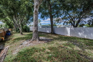 Backyard5