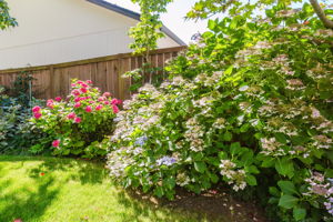  Photo 30