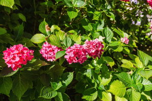  Photo 32