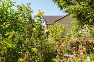  Photo 44