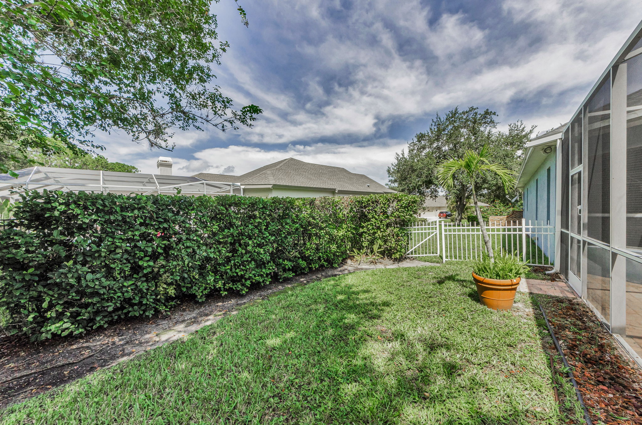 Backyard 3