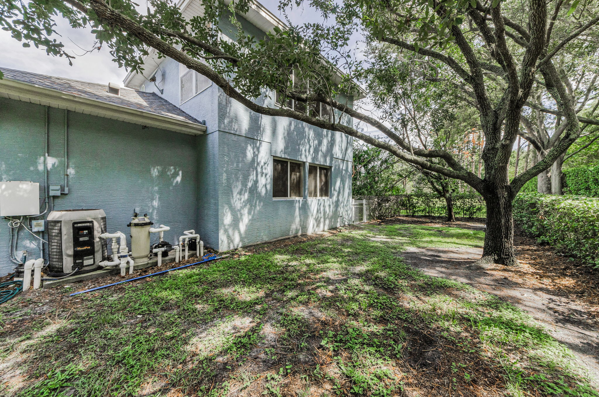 Backyard 5