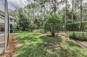 Backyard 1
