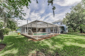 Backyard 2