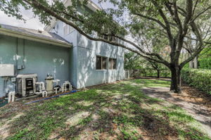 Backyard 5
