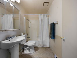  Photo 24