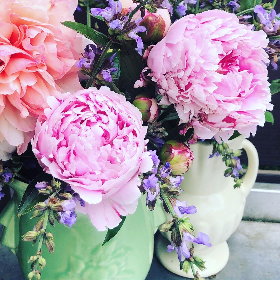 Can't wait for June peonies!