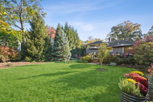 Expansive, deep lot over 1/3 acre.