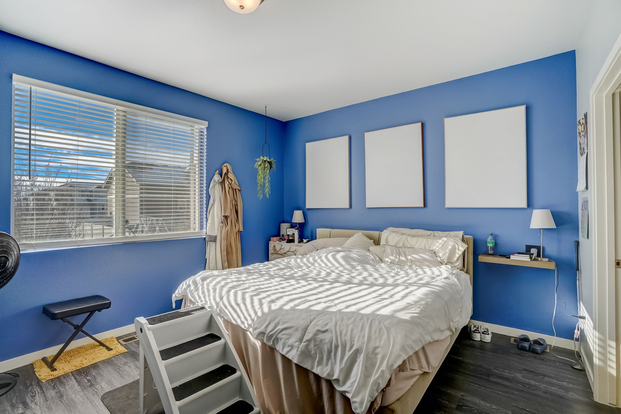 River Birch St-032
