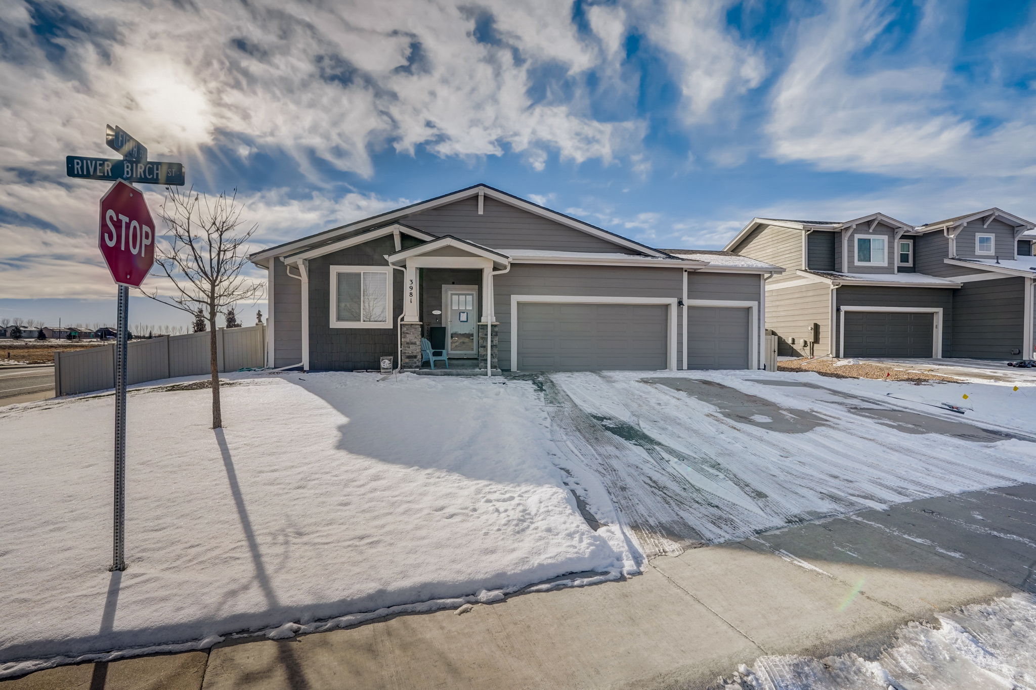 River Birch St-004