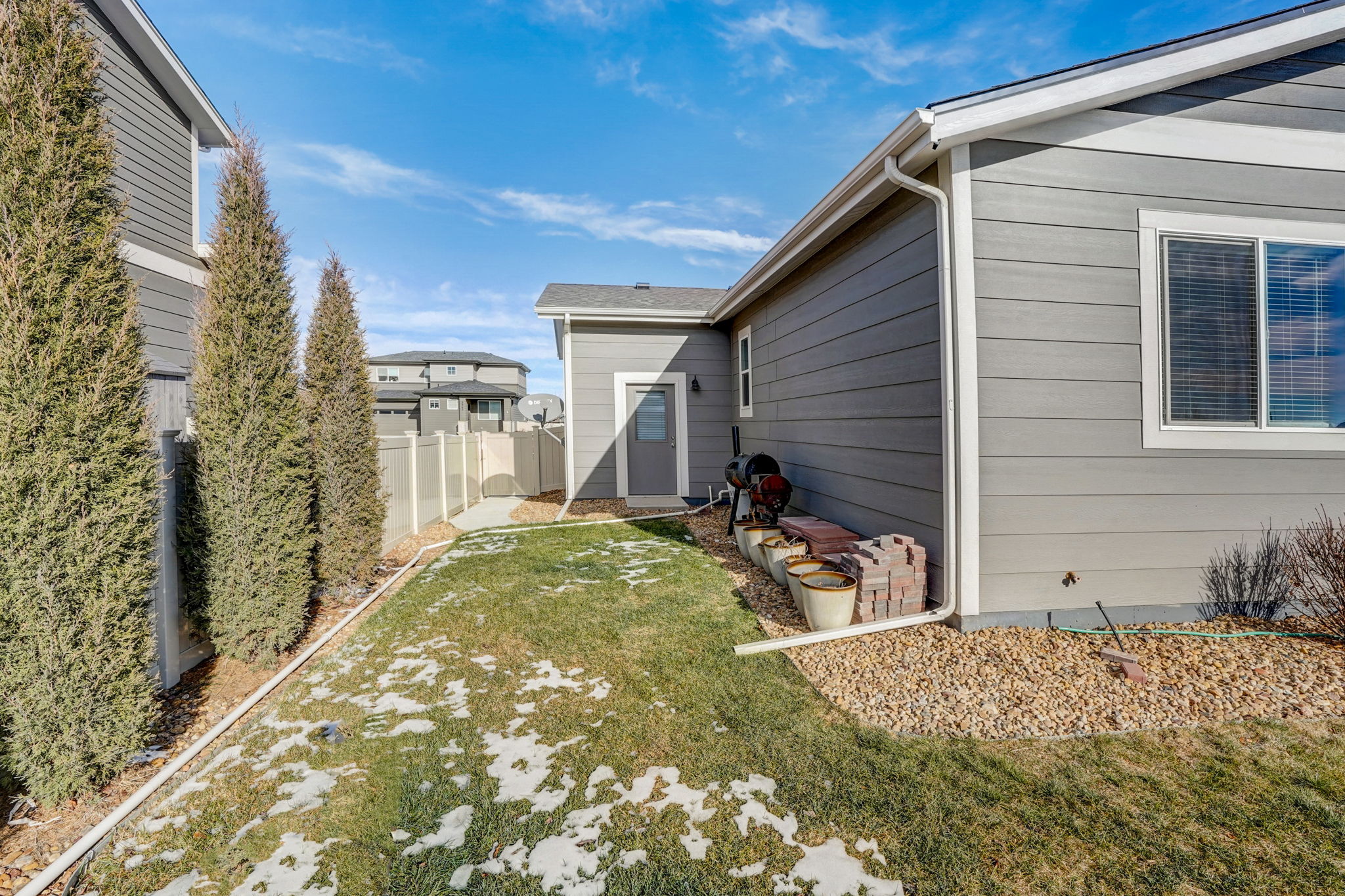 River Birch St-049