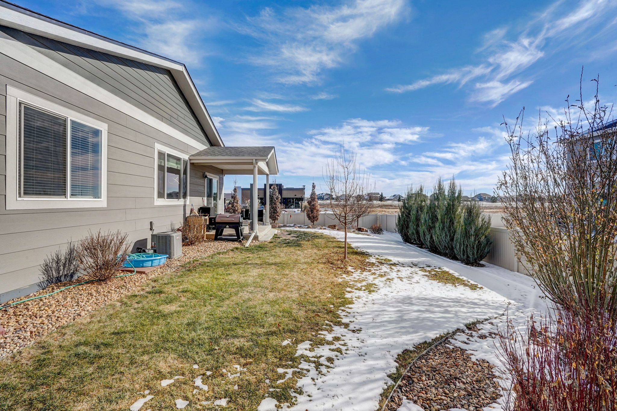 River Birch St-048