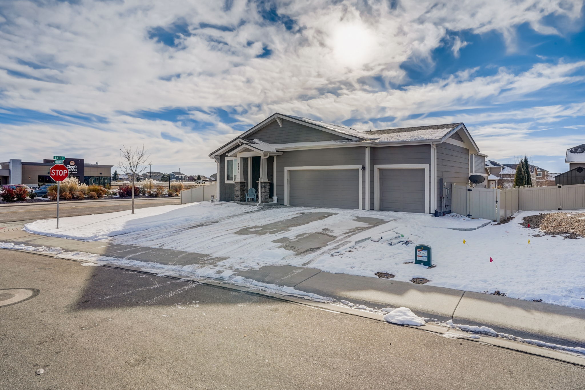 River Birch St-002